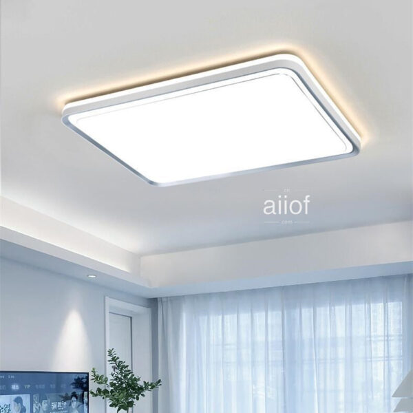 Large Ceiling Lighting-001