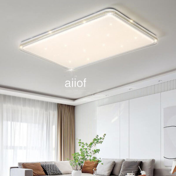 Large Ceiling Lighting-004