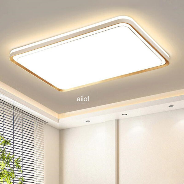 Large Ceiling Lighting-006