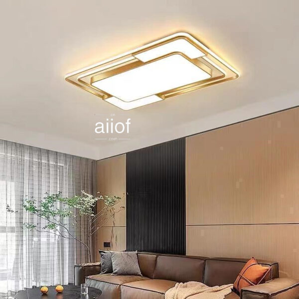 Large Ceiling Lighting-008