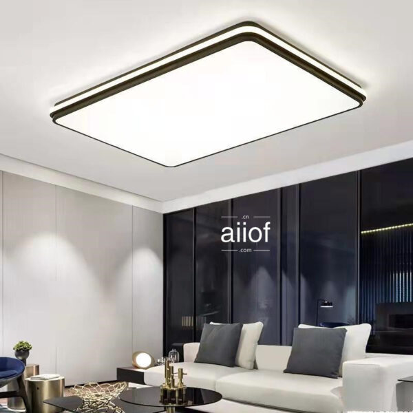 Large Ceiling Lighting-012