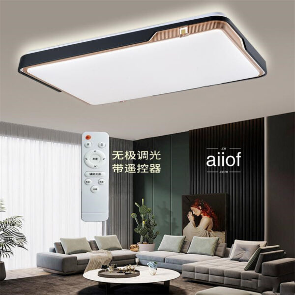 Large Ceiling Lighting-013