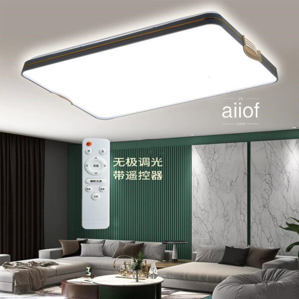 Large Ceiling Lighting-014