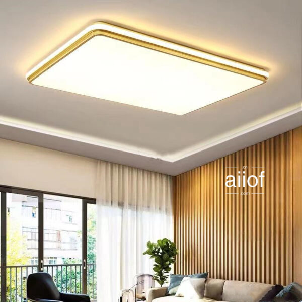 Large Ceiling Lighting-015