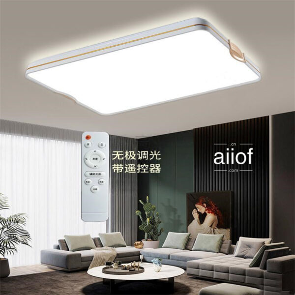 Large Ceiling Lighting-016