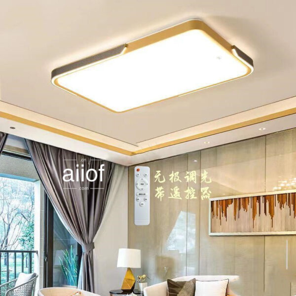 Large Ceiling Lighting-017