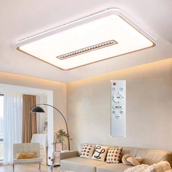 Large Ceiling Lighting-020