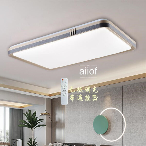 Large Ceiling Lighting-021