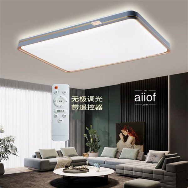 Large Ceiling Lighting-022