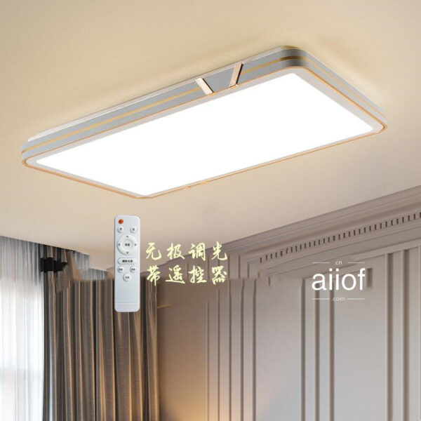 Large Ceiling Lighting-023