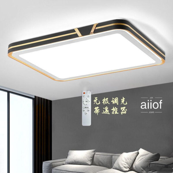 Large Ceiling Lighting-024