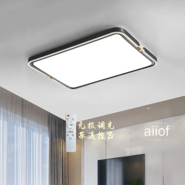 Large Ceiling Lighting-025