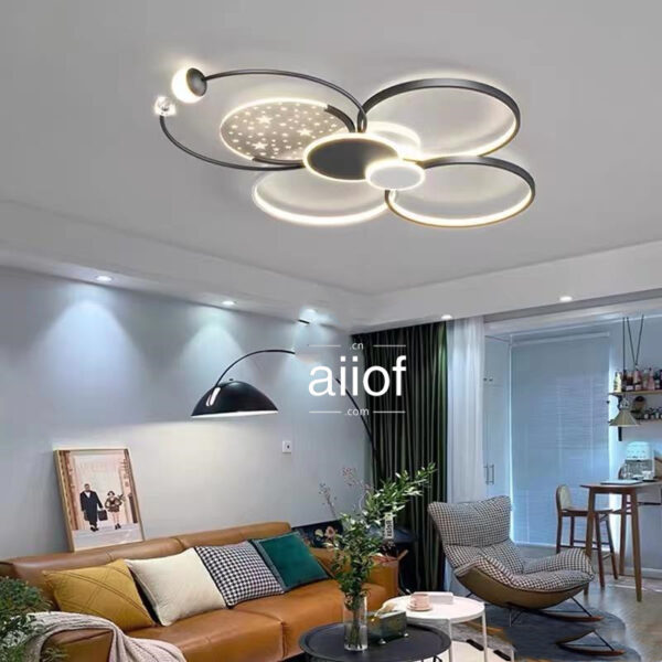 Large Ceiling Lighting-048