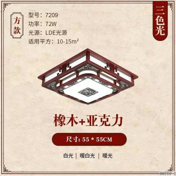 Chinese Ceiling Lighting-091