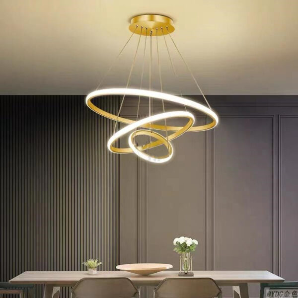 Circular Hanging Lighting-005