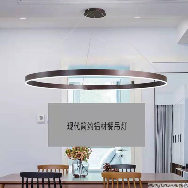 Circular Hanging Lighting-056