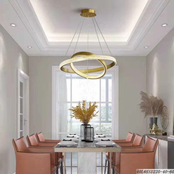 Circular Hanging Lighting-059