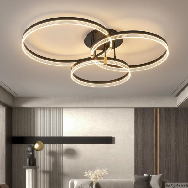 Circular Hanging Lighting-092