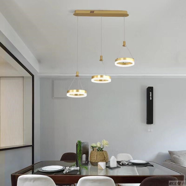 Circular Hanging Lighting-140