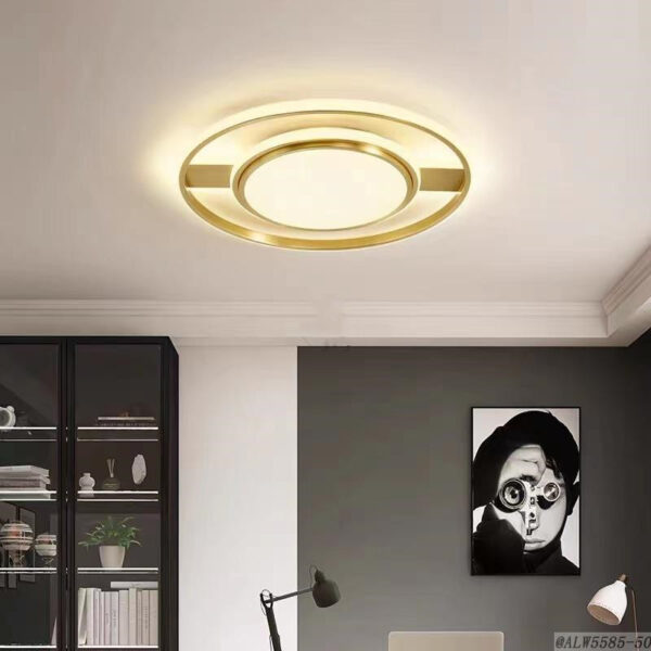 Copper Ceiling Lighting-006