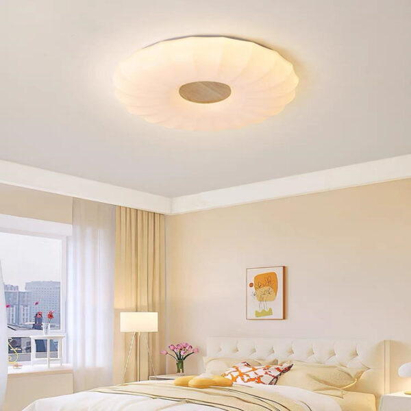 Bedroom Ceiling Lighting-018