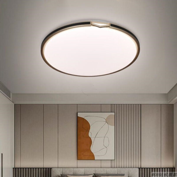 Bedroom Ceiling Lighting-068